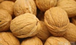 核桃印象爆料视频大全,揭秘幕后故事与精彩瞬间