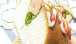 火腿热狗爆料视频播放,揭秘幕后制作过程与播放数据