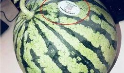 所有网红吃瓜视频,揭秘娱乐圈幕后真相