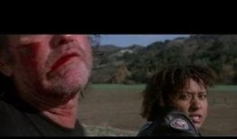 电影金刚不坏在线观看,在线观影，见证传奇英雄的钢铁意志