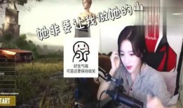 绝地求生女主播爆料视频,绝地求生幕后真相大曝光