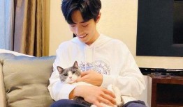 肖战感情爆料视频合集下载,揭秘明星情感世界