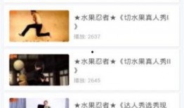 忍者爆料恶搞视频下载