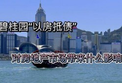 碧桂园爆料最新影响,揭秘行业变革背后的影响与挑战”