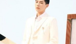 王安宇娱乐圈爆料视频,揭秘明星幕后真相