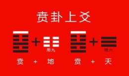 八马卦娱乐爆料视频大全,热门爆料视频大盘点