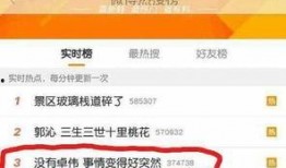 卓伟爆料吸毒人员视频,吸毒人员视频引发社会关注