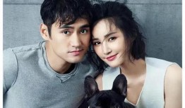 娱乐圈明星小爆料小说,明星小爆料揭秘