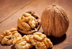 核桃印象爆料视频大全,揭秘幕后故事与精彩瞬间