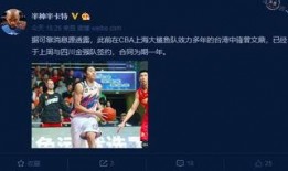 8月赛季最新爆料视频