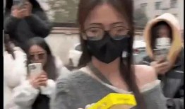 香港娱乐吃瓜爆料视频,揭秘幕后真相与幕后黑手