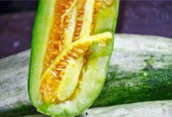 利川网红吃瓜,揭秘网络红人的幕后故事