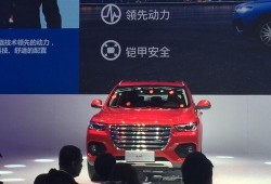 哈佛最新爆料,揭秘学术界的惊人真相