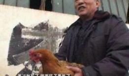 邪恶a视频在线观看,在线观看背后的惊悚真相