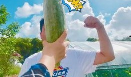 所有网红吃瓜视频,揭秘娱乐圈幕后真相