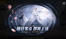 吃鸡新僚机爆料视频,揭秘吃鸡游戏全新玩法与升级内容