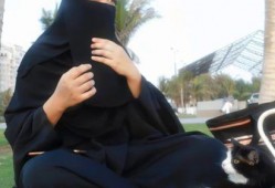 娱乐吃瓜君163,揭秘娱乐圈最新热点事件