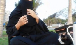 娱乐吃瓜君163,揭秘娱乐圈最新热点事件