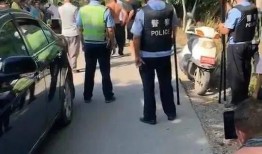 平乡爆料最新事件,揭秘神秘事件背后的真相