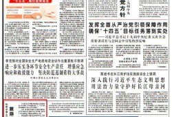 今日菜价爆料新闻报道内容,今日菜价爆料揭示市场动态