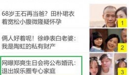 娱乐圈爆料p图网站,揭秘P图网站背后的秘密与真相