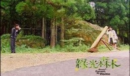 绿光森林在线观看23,在线观看之旅，探索奇幻森林的奥秘