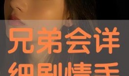 手机剧情在线观看,揭秘现代都市情感纠葛