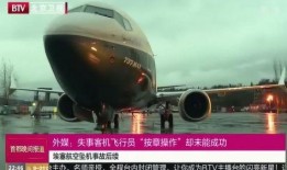 外媒爆料飞机失事视频,外媒曝光飞机失事惊悚瞬间