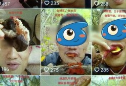 野生菌爆料视频大全集最新,探寻菌林奥秘，尽享美味之旅