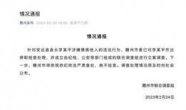 文职人员最新爆料案件查询,真相与反思