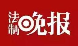 珠江新闻怎样爆料,揭秘爆料流程，助力真相发声