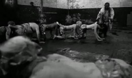 人体蜈蚣在线观看 电影,惊悚悬疑，探寻人体极限的恐怖之旅