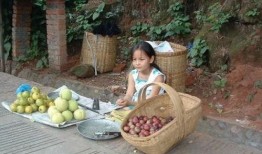 水果姑娘在线观看,甜蜜邂逅，在线浪漫之旅