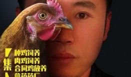 扒爷爆料散养鸡视频播放,散养鸡养殖过程大曝光，视频播放引发热议