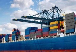 美国海运爆料视频最新消息,美国海运行业动态揭秘