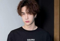 娱乐圈爆料王一博春晚,娱乐圈爆料引发热议