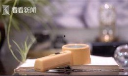 草婴视频在线观看,探寻文学大师的智慧之光