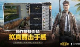和平精英瓜最新爆料,揭秘游戏新内容与更新动态