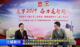 陕西爆料最新新闻消息视频,视频揭露惊人事件，详情即将揭晓
