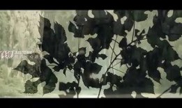 野狼谷全集在线观看,在线观看，探寻神秘野狼谷的传奇之旅