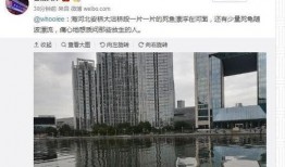 天津的最新爆料,揭秘城市新动态与热点事件