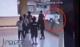 校园爆料完整版视频在线观看,揭秘校园风云事件全貌