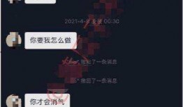 网红聊天记录吃瓜,一场吃瓜盛宴背后的真相揭秘