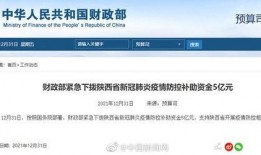 陕西爆料最新新闻消息视频,视频揭露惊人事件，详情即将揭晓