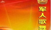 军人视频爆料网站大全,网络时代的军情观察窗口