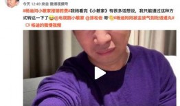 三号家庭的妈妈爆料视频,揭秘家庭生活背后的真实故事