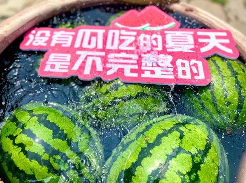 大型吃瓜现场图