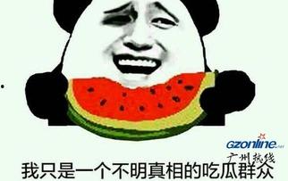 吃瓜群众梗来源,揭秘网络流行语的演变之路